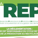 REP article