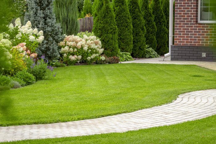 Freshly cut grass in the backyard of a private house.